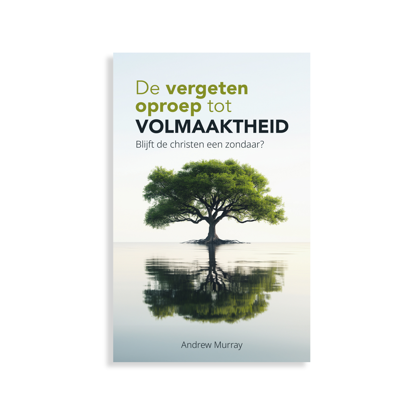 De vergeten oproep tot volmaaktheid